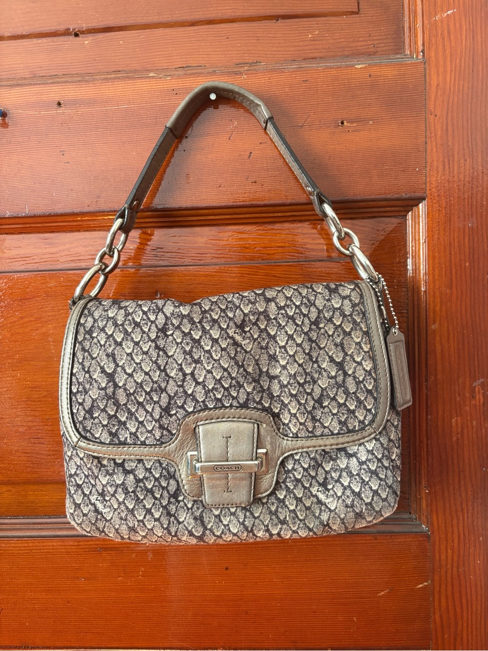 Coach Gray Snake-Print Shoulder Bag with Top Handle